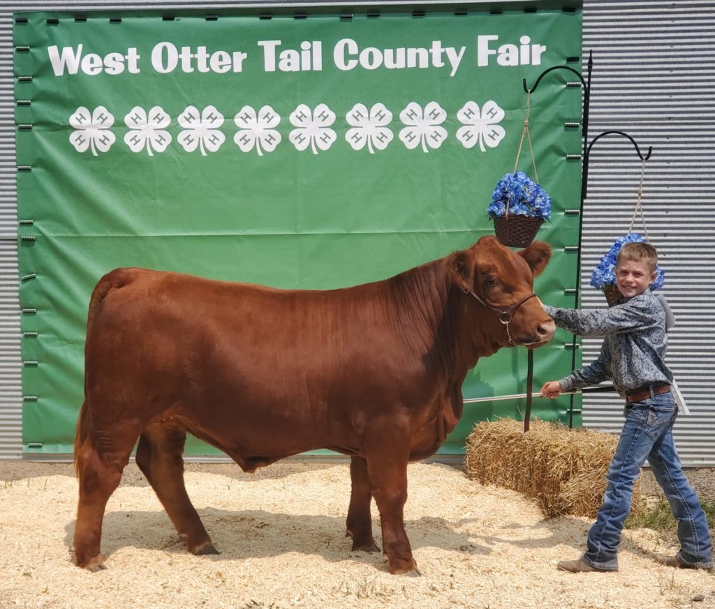 West Otter Tail County 4H Fair Results Battle Lake Review Battle